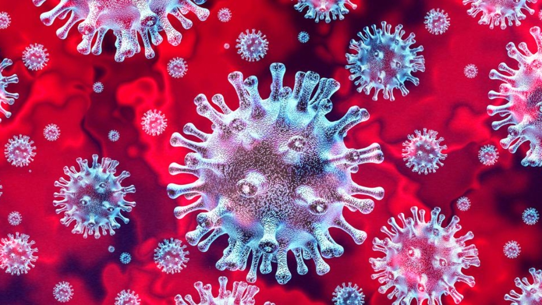 coronavirus