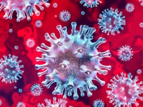 coronavirus