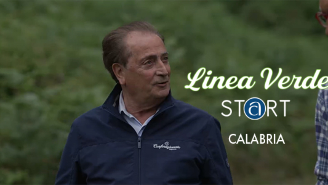 Line Verde Calabria
