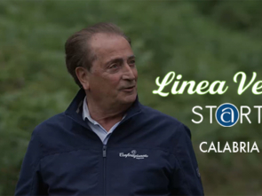 Line Verde Calabria